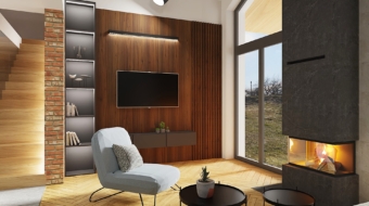 ściana telewizyjna w stylu industrialnym - dom w pierwiosnkach w pier